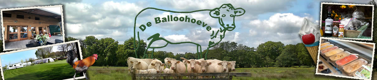 Camping de Balloohoeve — photo 3