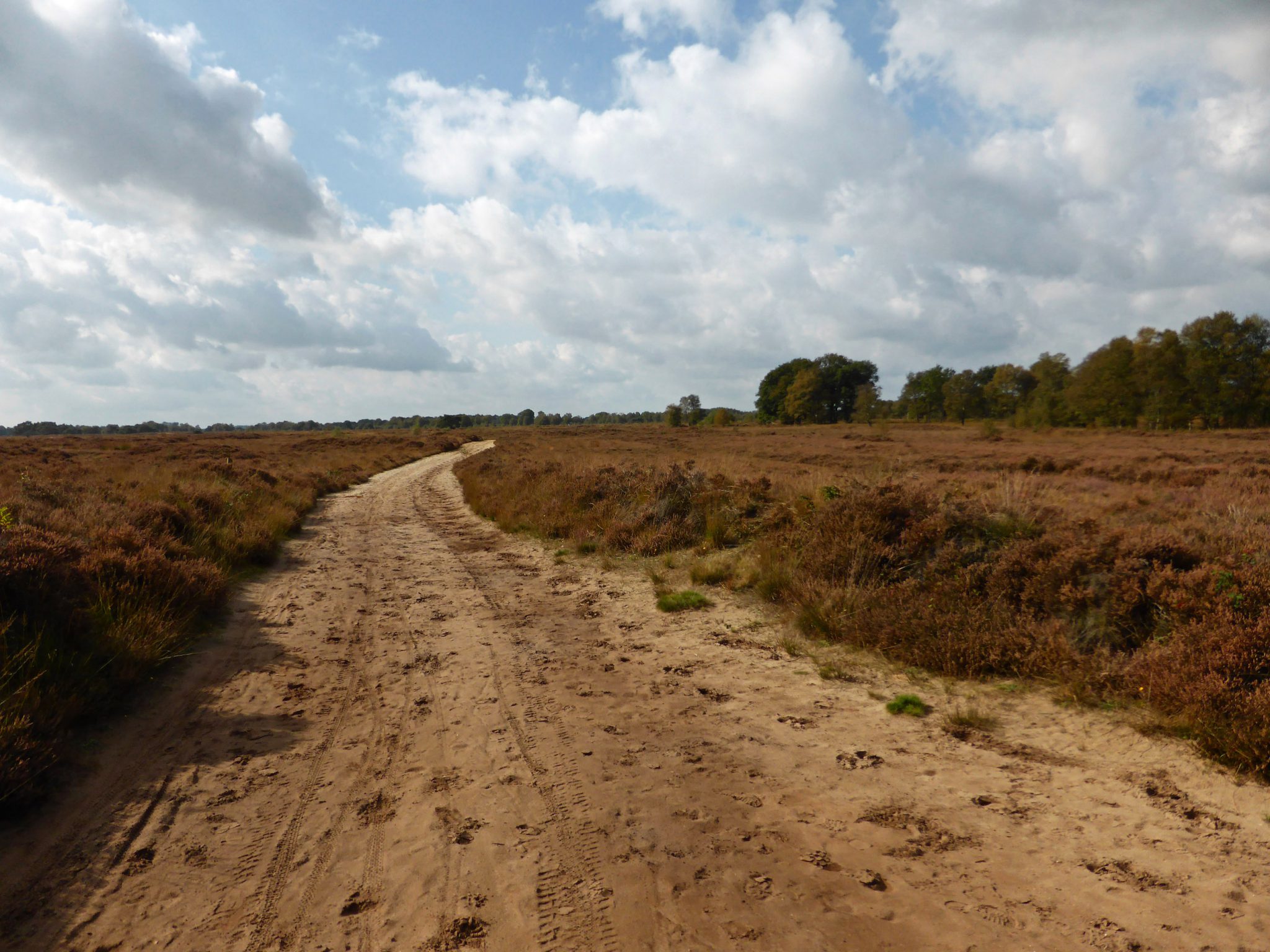 Camping de Balloohoeve — Photo 7 of 8