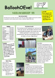Nieuwsbrief 55